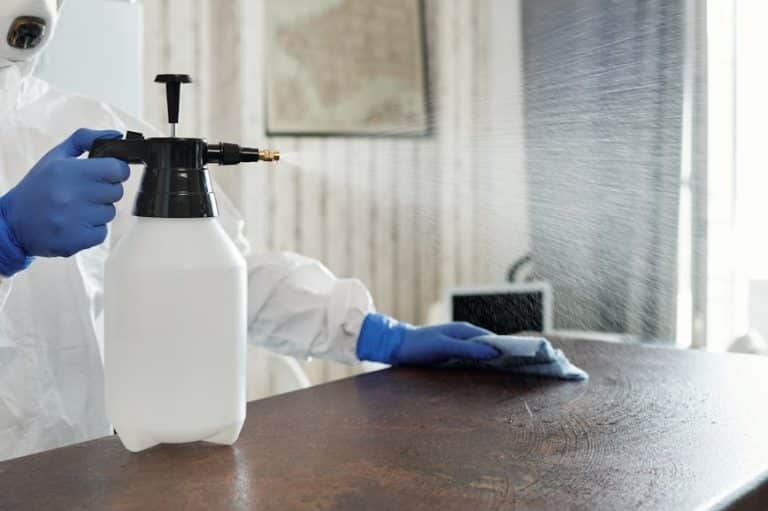 What Does A Disinfectant Do When Cleaning?
