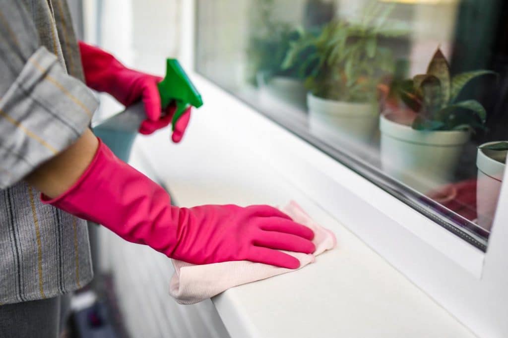 Plant Based Cleaning Products